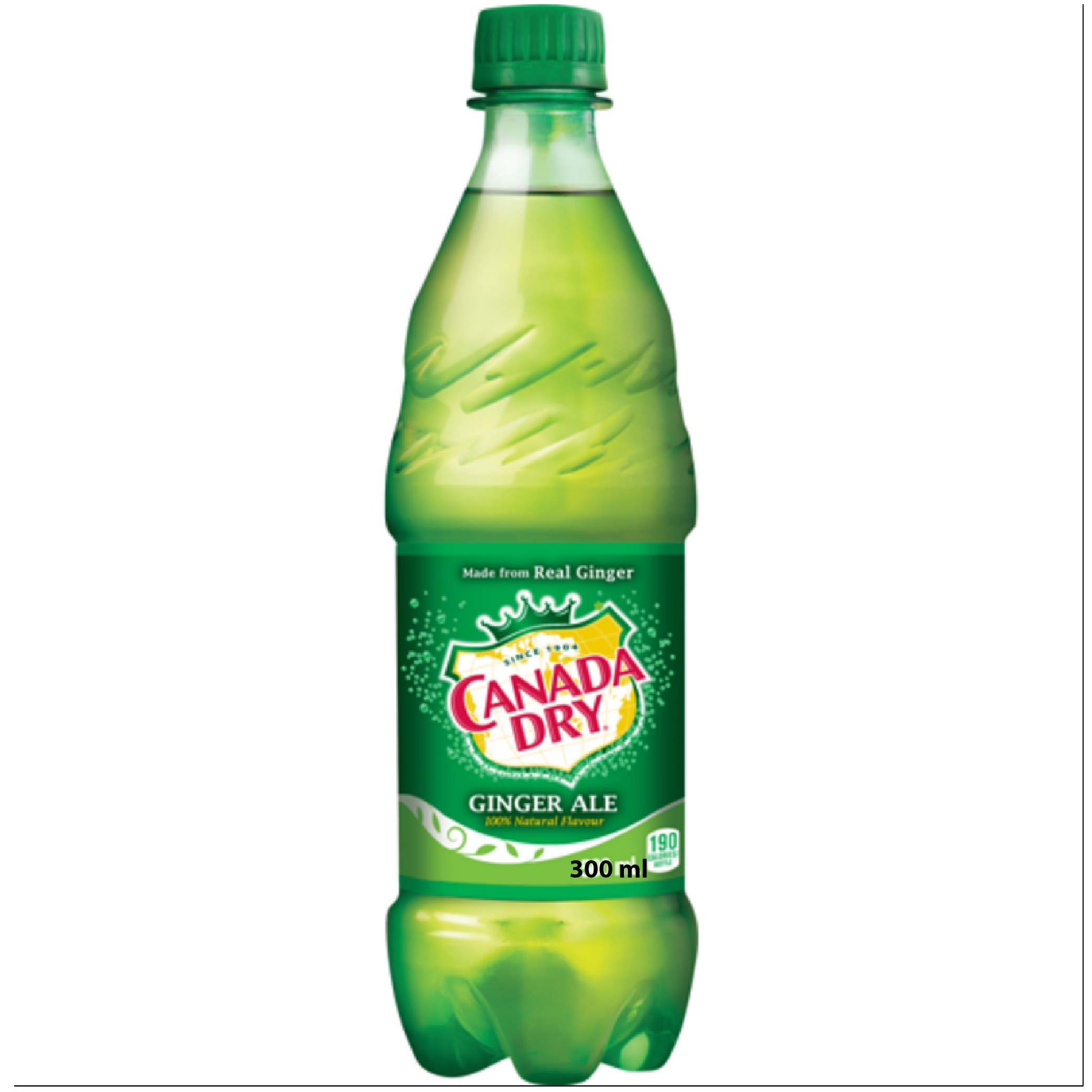 Canada Dry Gigner Ale 300ml